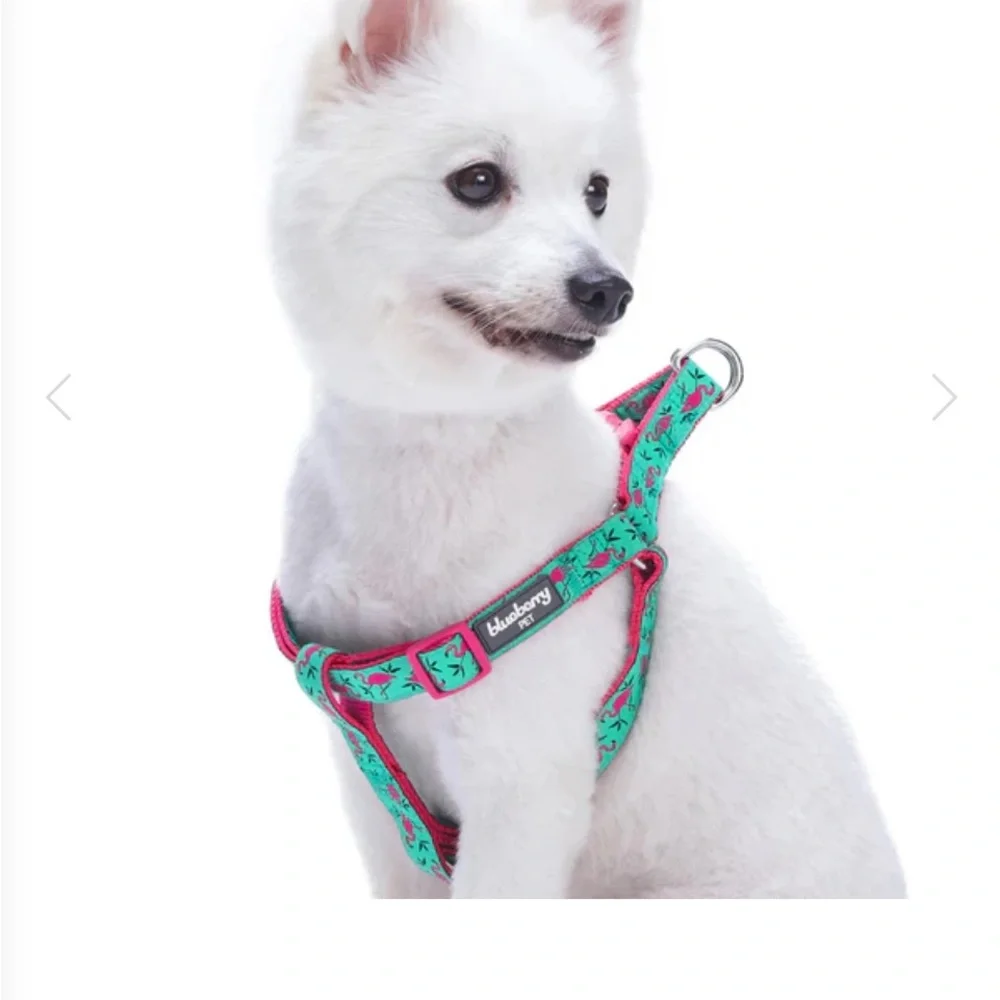 Blueberry Pet Flamingo Dog Harness Green and Pink NWOT - Chest = 19”